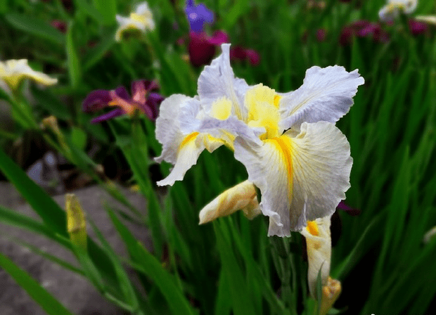 【bsports必一网页版】优美的古代短句谈心情 优美感人的句子(图5)