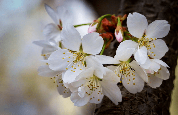 【bsports必一网页版】优美的古代短句谈心情 优美感人的句子(图7)