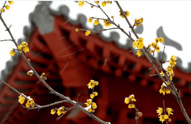 【bsports必一网页版】优美的古代短句谈心情 优美感人的句子(图9)