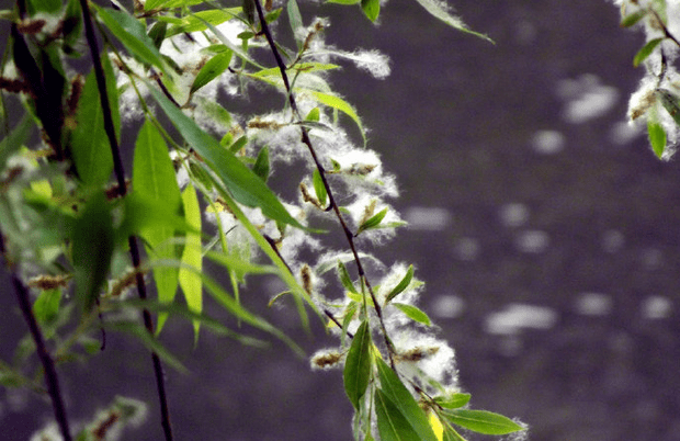 【bsports必一网页版】优美的古代短句谈心情 优美感人的句子(图10)