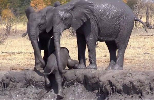 提升都会形象 改善生活情况 浉河区就都会有机更新项目签约融创团体-bsports必一网页版(图7) bsports必一网页版