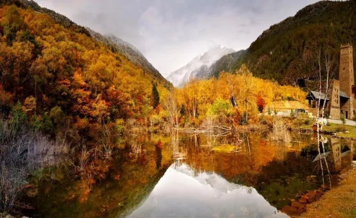 bsports必一网页版