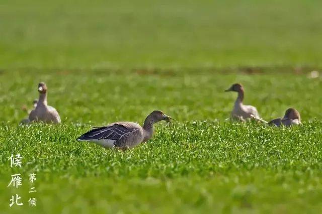 bsports必一网页版