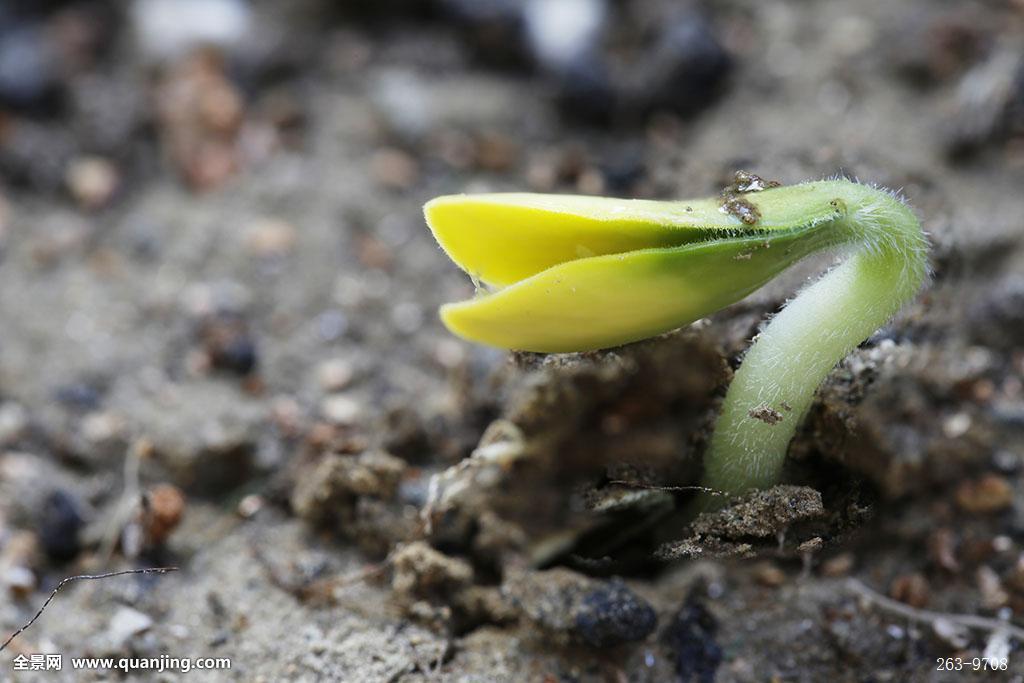 bsports必一网页版