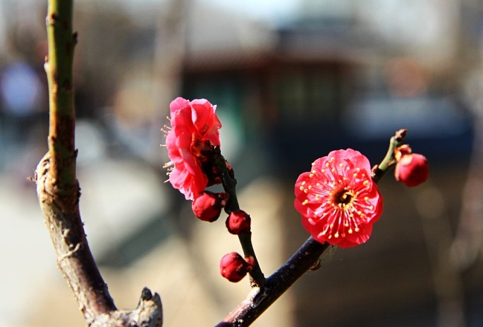 bsports必一网页版