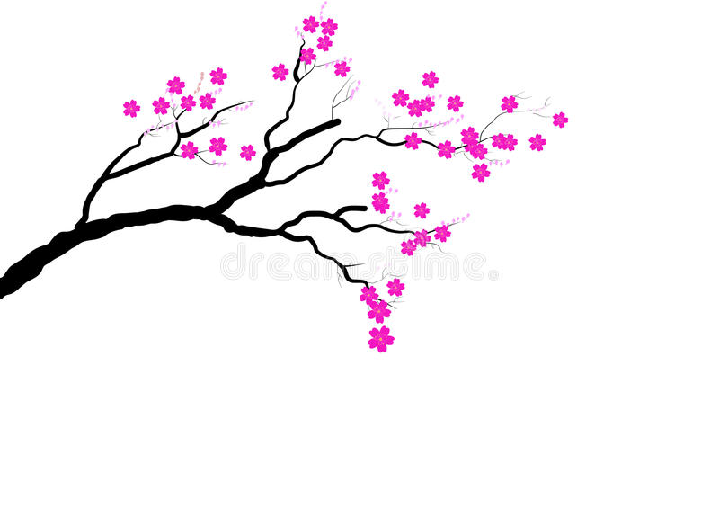 bsports必一网页版