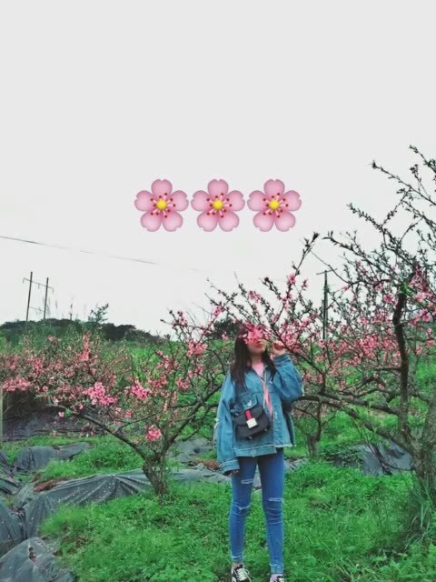 bsports必一网页版