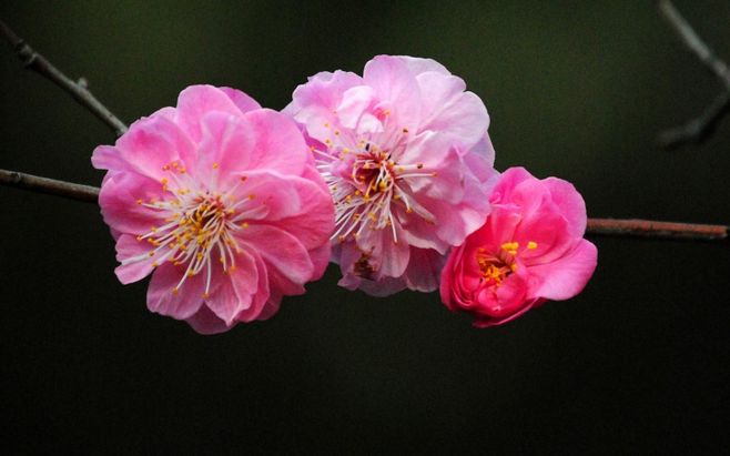 bsports必一网页版