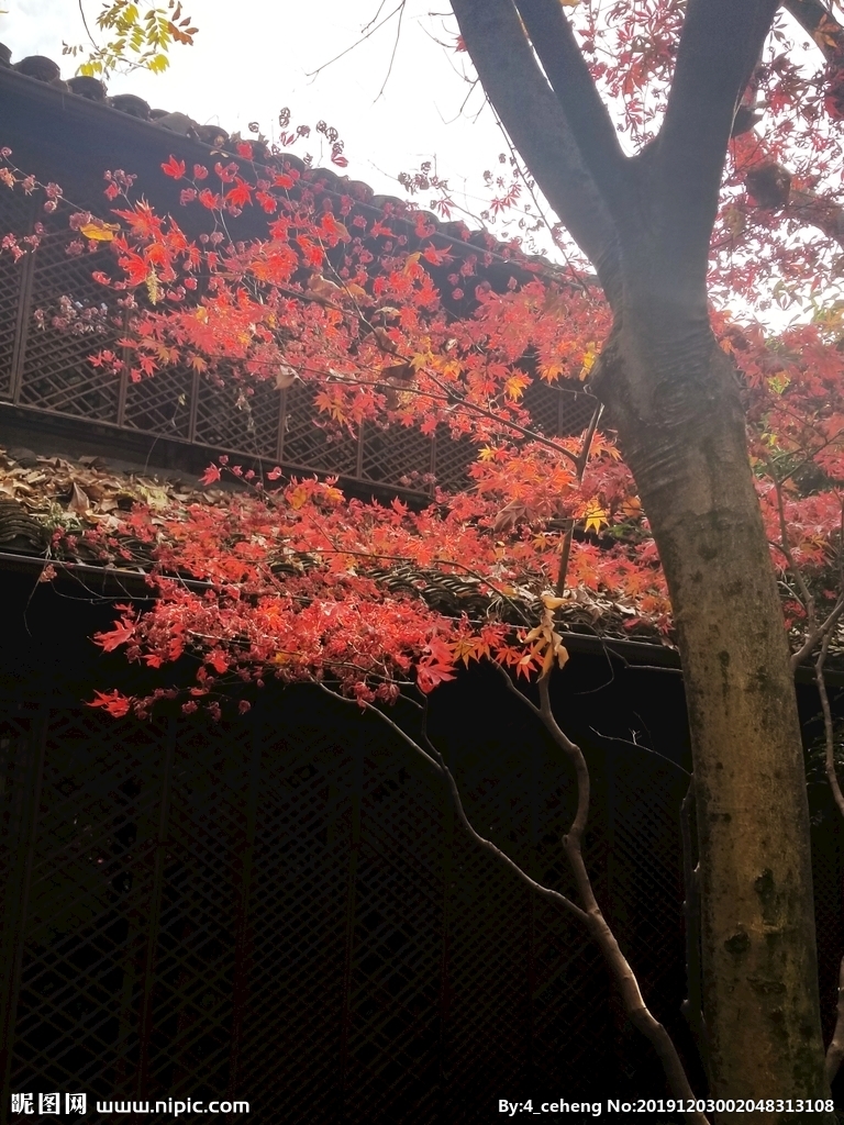 bsports必一网页版