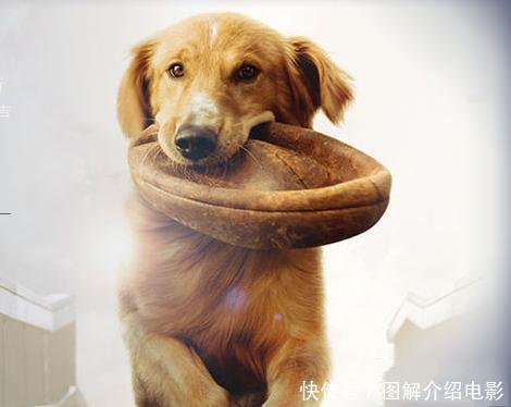 bsports必一网页版